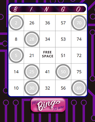 Bingo Game Virtual